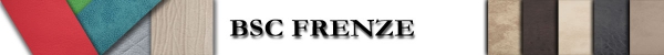 BSC FRENZE